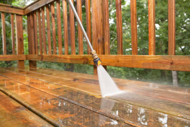 Best Roof Pressure Washing  in Medulla, FL